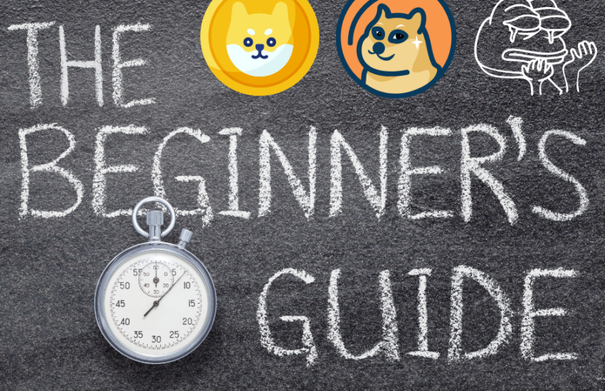 GUIDE